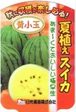ֲƿ ޥ9cmݥåȡ7ܤȯʬͽ