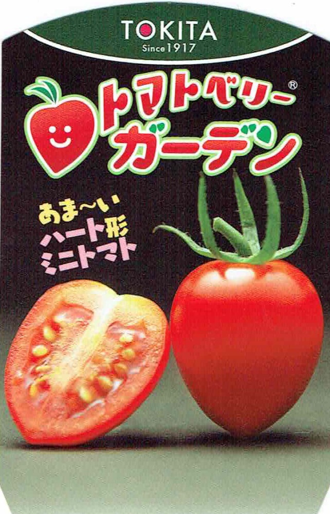 トマトの苗「トマトベリーガーデン」（実生）9cmポット【4月中旬～5月