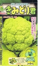 ���Ӽ��ġ�����ե������ߤɤ귯�Υ��͡�[�����̡���30γ]