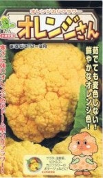 ���Ӽ��ġ�����ե�������󥸤���Υ��͡�[�����̡���15γ]