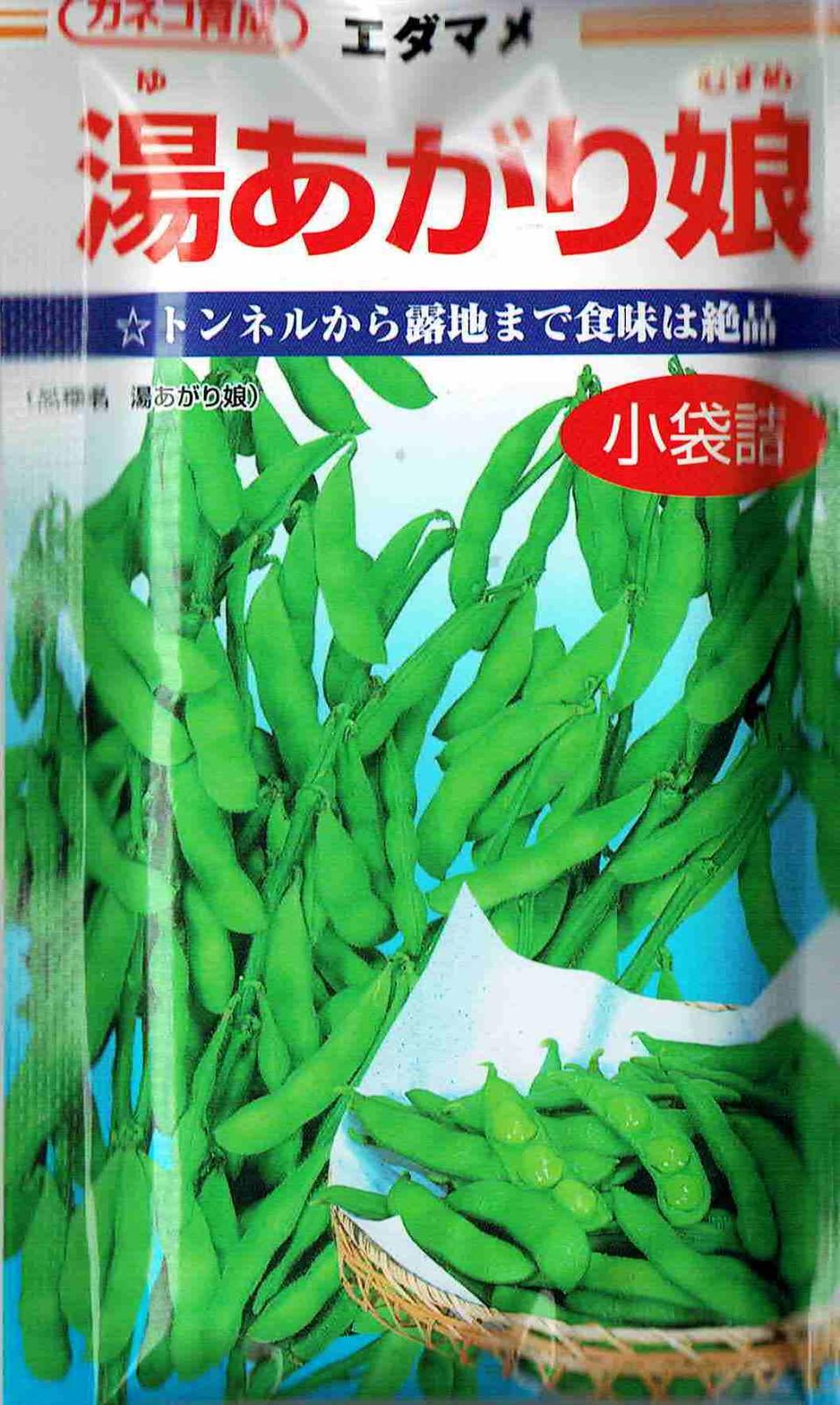 ���ͥ����ġ������ޤᡡ�򤢤���̼ [�����̡���100γ]