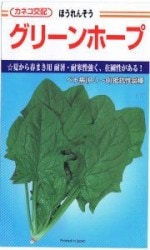 ͥġۤ󤽤꡼ۡ [̡2000γ]