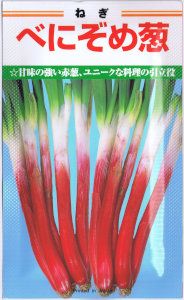 ���ͥ����ġ��٤ˤ���Ǭ��[�����̡�20ml]