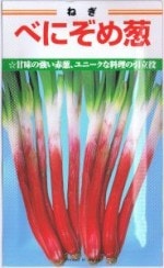 ���ͥ����ġ��٤ˤ���Ǭ��[�����̡�20ml]