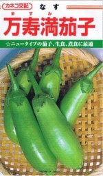 ͥ ػҡʤޤߤʤ[̡100γ]