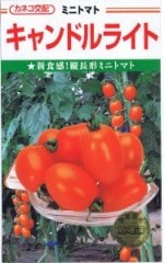 ͥġȥޥȡɥ饤 [̡100γ]