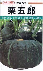 カネコ種苗 かぼちゃ 栗五郎 [内容量：約10粒] | 【メーカー名からタネ