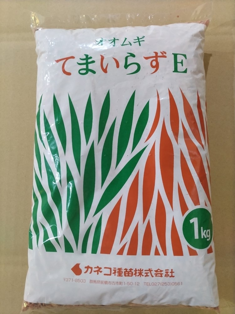 ��ӥ󥰥ޥ���Τ��͡����ͥ����ġ��ޥ���������֤Ƥޤ��餺E��1kg��