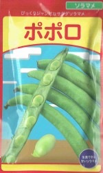 ��¢����ıࡡ���������ޥᡦ�ݥݥ� ��12γ����͹���б���