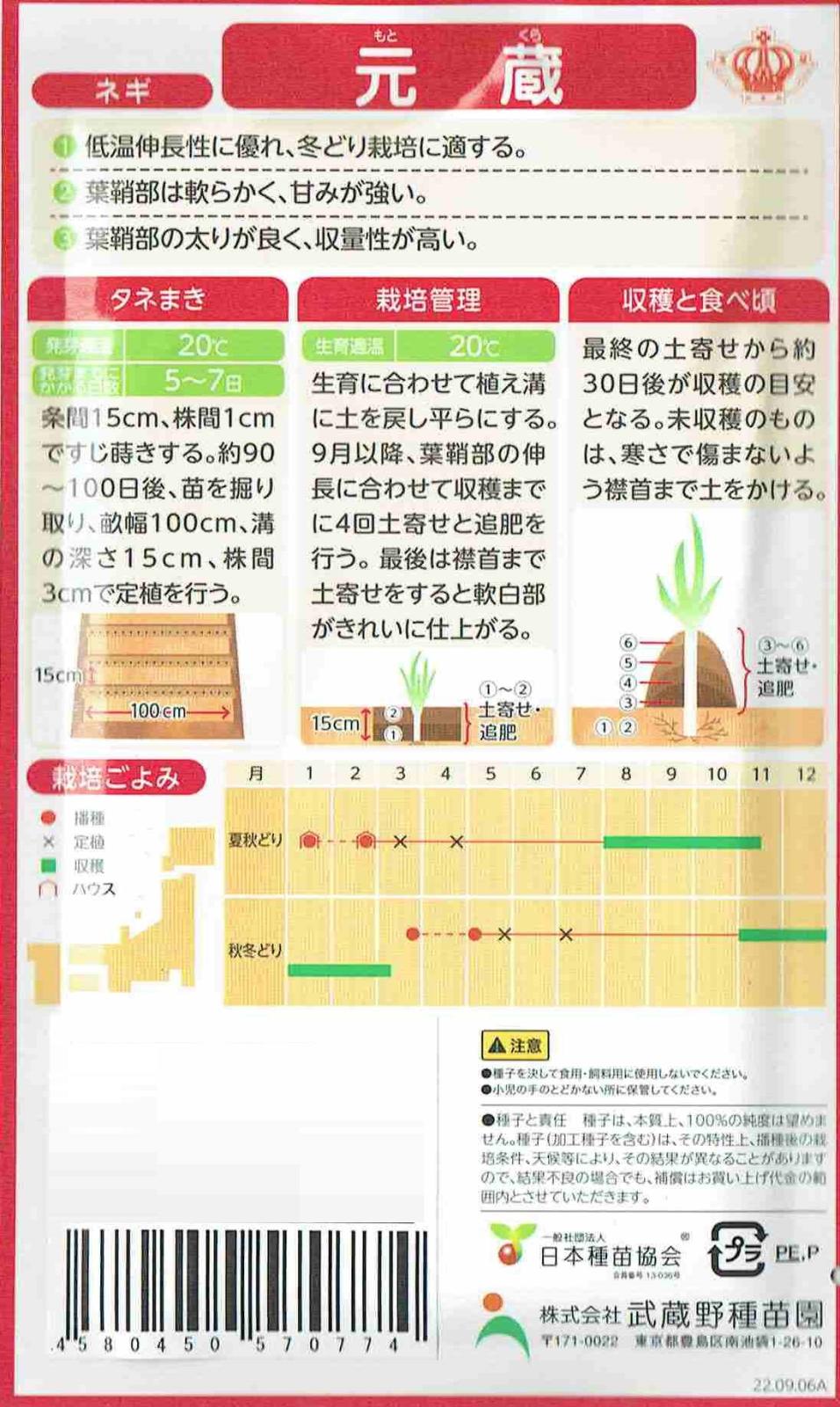 武蔵野種苗園 ネギ 元蔵（もとくら） 6ml 【郵送対応】 | 【メーカー名