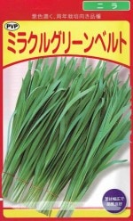 ¢ıࡡ˥顡ߥ饯륰꡼٥ 4ml͹бۡʼ̾ߥ饯륰꡼٥_Ͽֹ桧17909_жػߡ