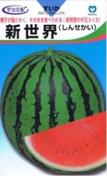 �ݼ� ������ ������ ��8γ ��͹���б���