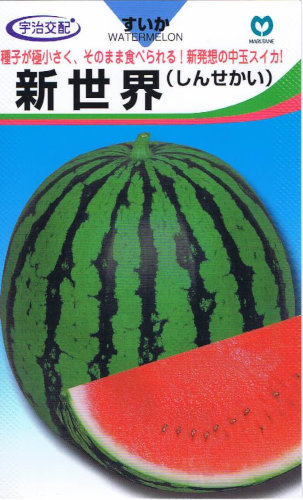 丸種 スイカ 新世界 約8粒 【郵送対応】