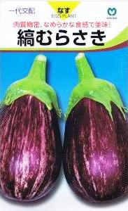 �ݼ�ʥ����ʤ�餵�� ��9γ ��͹���б���