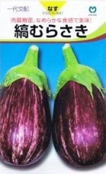 �ݼ�ʥ����ʤ�餵�� ��9γ ��͹���б���