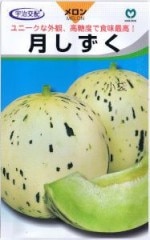ۡ󡦷 5γ ͹б