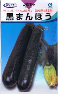 ݼåˡޤܤ 10γ ͹б