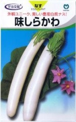 �ݼ�ʥ���̣���餫�� ��35γ ��͹���б���