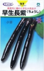 �ݼ�ʥ�������Ĺ��ʤ��礦���� ��45γ ��͹���б���