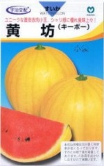 �ݼ� ����������˷�ʥ����ܡ��� ��7γ ��͹���б���