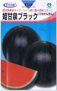 ۡɱʤҤᤫ󤻤˥֥å 7γ ͹б