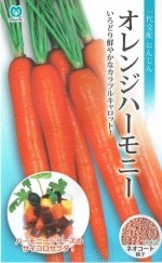 �ݼ����󥸥ϡ���ˡ� �ͥ������ȼ�� ��10,000γ�ʤˤ󤸤󡦥˥󥸥�� ���������б��ۡڤ����󤻾��ʡ�