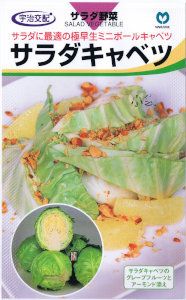 �ݼ����٥ġ����������٥� ��70γ ��͹���б���