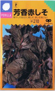 �渶�μ�졡˧���֤��� 6ml ��͹���б���