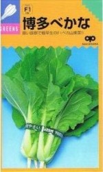 �渶�μ�졡��¿�٤��ʡ�8ml ��͹���б���