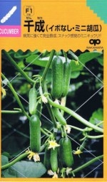 �渶�μ�� �ɥ��ʥ��������������奦��� ��8γ ��͹���б���