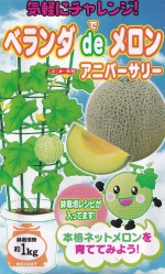 ʥȼġ󡡥˥С꡼ 5γ ͹б