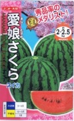 �ʥ�ȼ��ġ�����������̼������ ��7γ ��͹���б���