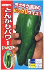 ʥȸۡԡޥ󡡡֤Ȥ󤬤ѥ 20γ ͹б