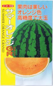 スイカサマー tanemori-netshop_nanto-0027