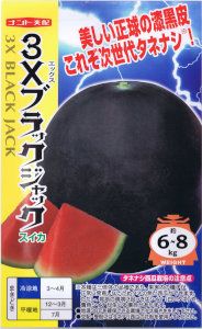 ナント種苗 スイカ 3Xブラックジャック 約8粒 【郵送対応