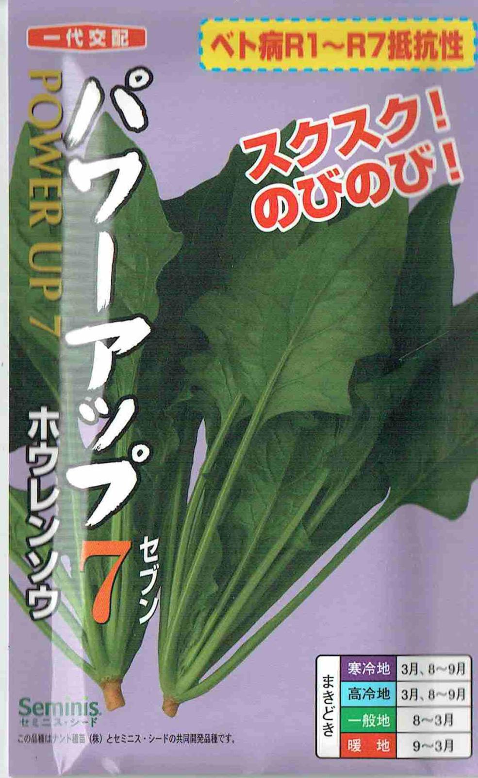 ʥȼġۥ󥽥ѥåף20mL͹б