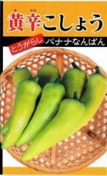 ���ܥ��ͥ��󥿡� �ȥ����饷 ���ɤ����礦 (�Хʥʤʤ�Ф�)  1.5ml ��͹���б���