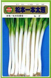 ���ܥ��ͥ��󥿡����ͥ������ܰ�����Ǭ 10ml ��͹���б���