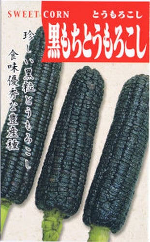 日本タネセンター 黒もちとうもろこし 1L | 【メーカー名からタネを