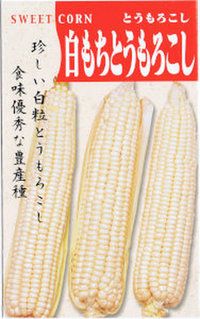 ���ܥ��ͥ��󥿡��������Ȥ�������� 40ml ��͹���б���