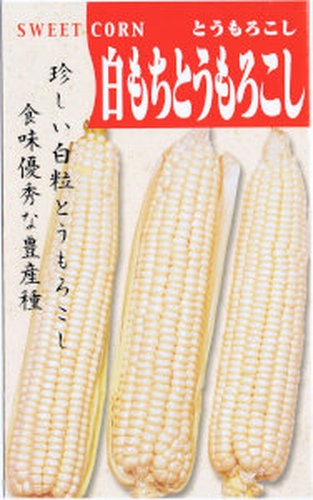 日本タネセンター 白もちとうもろこし 1L | 【メーカー名からタネを