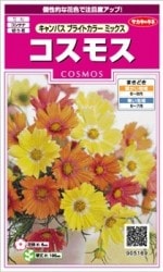 Υ͡⥹ѥ ֥饤ȥ顼ߥå ͹б