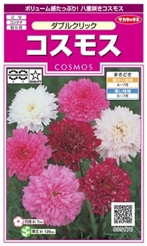 サカタのタネ コスモス・ダブルクリック 【郵送対応】 | 【メーカー名
