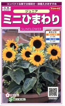 サカタのタネ ミニひまわり・ジュニア 【郵送対応】 | 【メーカー名