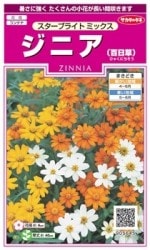 Υ͡˥ɴˡ֥饤ȥߥå ͹б