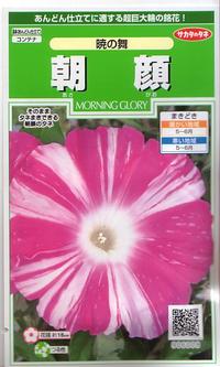 サカタのタネ 朝顔・暁の舞 【郵送対応】 | 【メーカー名からタネを