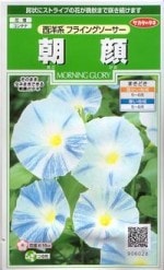 Υ͡ī顦ηϥե饤󥰥 ͹б