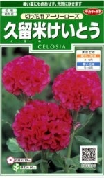 Υ͡αƤȤڲѡ꡼ ͹б