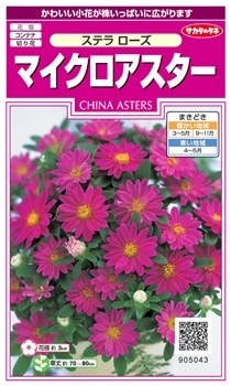 サカタのタネ マイクロアスター・ステラ ローズ 【郵送対応