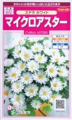 �������Υ��͡��ޥ������������������ƥ顡�ۥ磻�� ��͹���б���